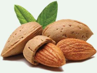 Almond worth Rs 209.7 Mn exported in 7 months