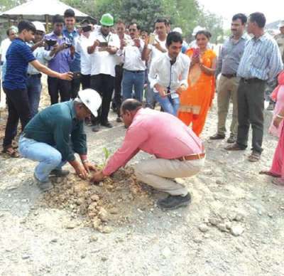 Plantation by Ghorahi Cement