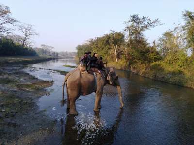 Ban on Elephant Safari Likely to Hamper Wildlife Tourism
