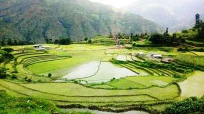 Govt allocates 33 billion for  agriculture