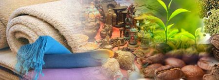 Nepal’s Economy Becoming Import-Oriented: NRB Report