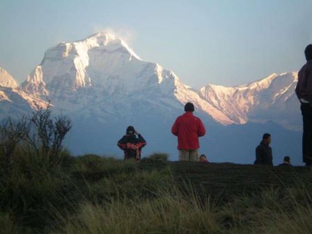 Government Decides to Airlift Stranded Tourists