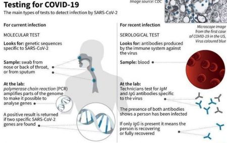COVID-19 Cases Surge to 217 in Nepal