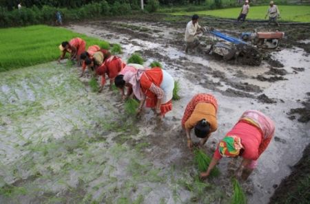 Human Development on Course to Decline for the First Time Since 1990