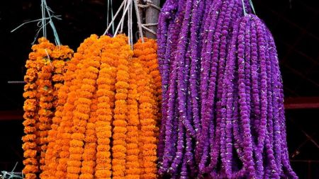 Production of Flowers for Tihar Decline this Year