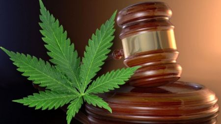 Nepal yet to Remove Cannabis from List of Harmful Drugs