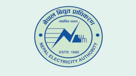 NEA Loses Bid to Supply Electricity to India