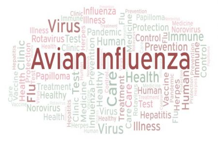 Bird Flu Detected in Kathmandu    