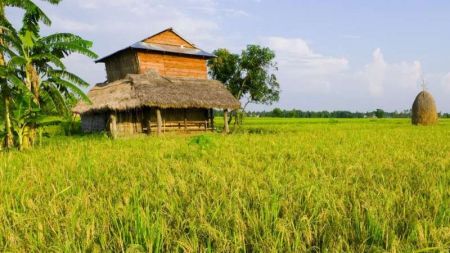 Budget for Agriculture up by Rs 3.69 Billion