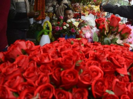 Floriculture Business Facing Daily Loss of Rs 10 Million