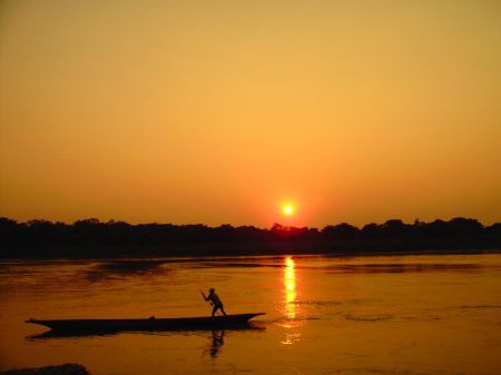 Sauraha's Tourism Business Returning Back on Track