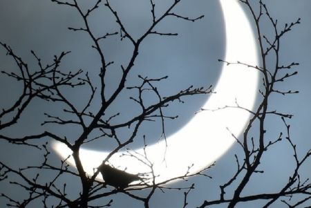 Partial Solar Eclipse to Occur on October 25   