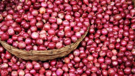 Nepal Imports more than 700,000 Tons of Onion a Year