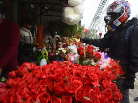 Government Bans Import of Roses on the Eve of Valentine's Day