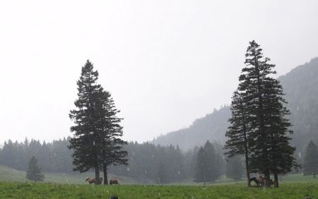 Few Places of Hill Areas to Receive Light Rainfall Today   