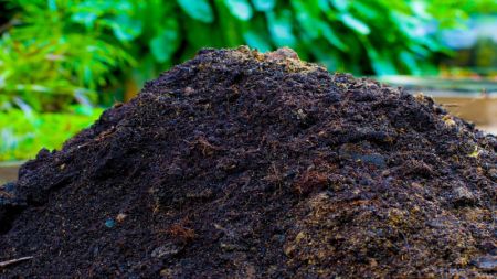 Saakha Group Starts Commercial Production of Compost Fertilizer