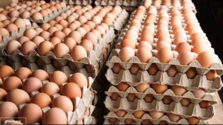 Price of Eggs Increased Four Times in a Month