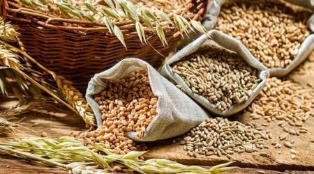 No Shortage of Food Grains during Rainy Season   