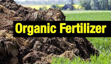 Organic Fertilizer Factory built to Counter the Impact of Chemical Fertilizers