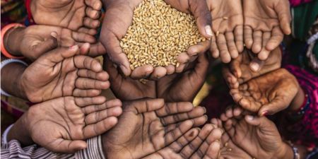 Karnali Faces 19,116 Metric Tonnes Food Grain Deficit Annually