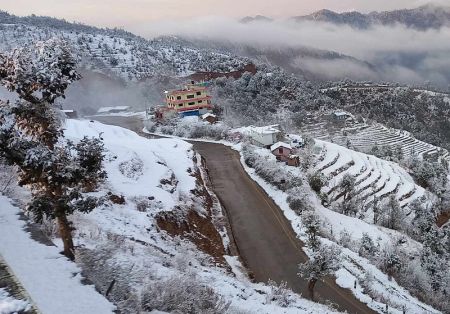 Snowfall Delights Farmers   