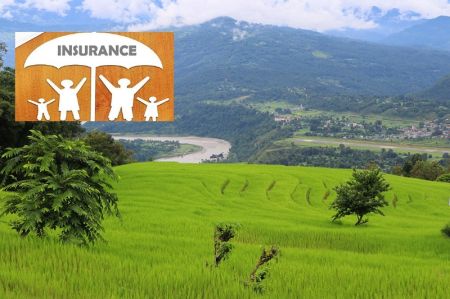 Govt Allocates Rs 1.65 Billion for Agricultural Insurance Subsidy