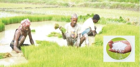 Farmers again Deprived of Fertilizers which Remain Stocked in Govt Warehouses