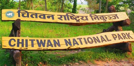 Tourist Arrivals at Chitwan National Park Surge in Last Fiscal Year