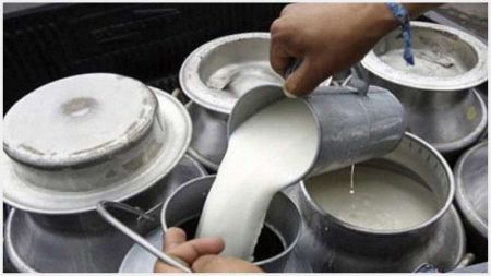 Gandaki Province Government Grants Rs 30 Million to Dairy Farmers