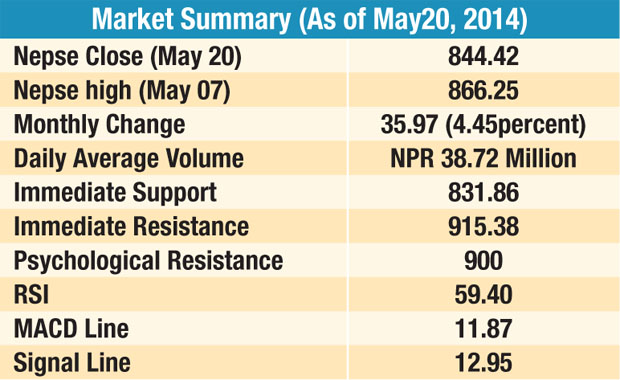 Market Summary